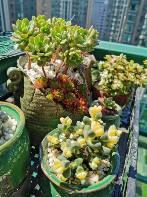 打造美好幸福的家,打造一片天地