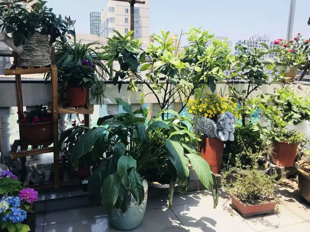 打造美好幸福的家,打造一片天地