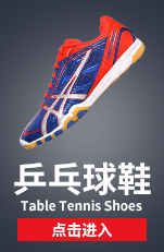 蝴蝶王乒乓球底板多少钱一个,蝴蝶王乒乓球拍底板价格