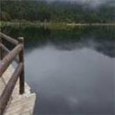 招商南油股吧,招商南油股吧601975