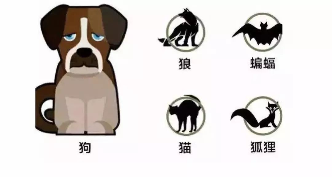 被老鼠咬后，出血热疫苗该不该打