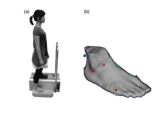 罗马脚希腊脚埃及脚各是什么特点,埃及脚罗马脚希腊脚哪种脚比较多
