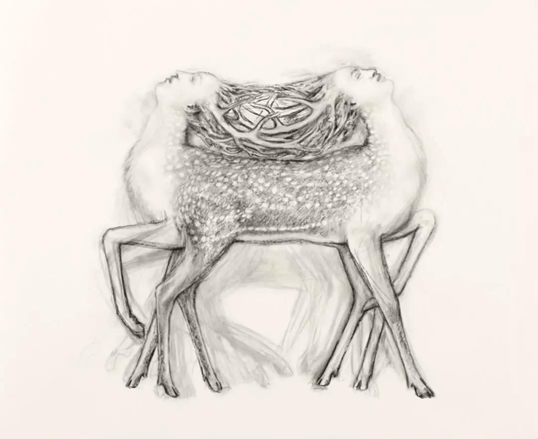 罗兰·艾格、王鲁炎、贾尼·德西与朱·克拉捷论纸本绘画｜朱赫