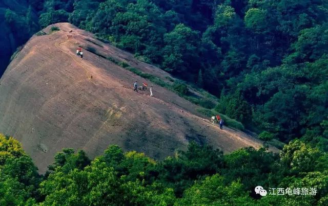 语言大多数是假的经历才是真的,语言很多时候都是假的句子