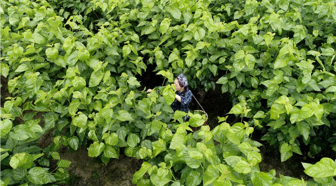 给长乐公主准备嫁妆比彩礼多,长乐女结婚嫁妆一般多少