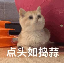 传销模式的微商是传销吗,微商代理传销被罚50万