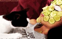 淘宝上自制护肤品靠谱吗,淘宝自创护肤品