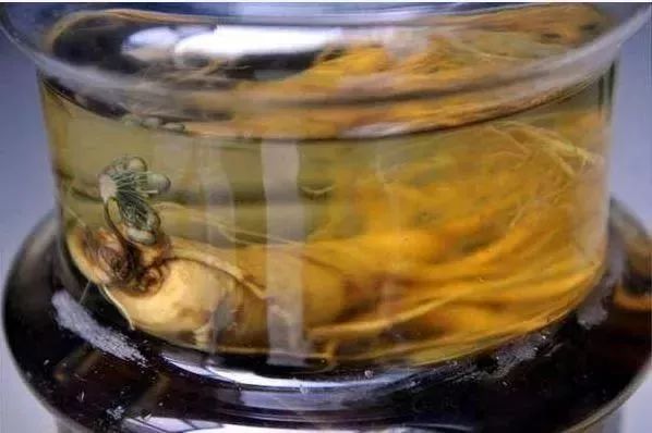 2000元买人参泡酒15年,男子2000买人参泡酒后竟复活