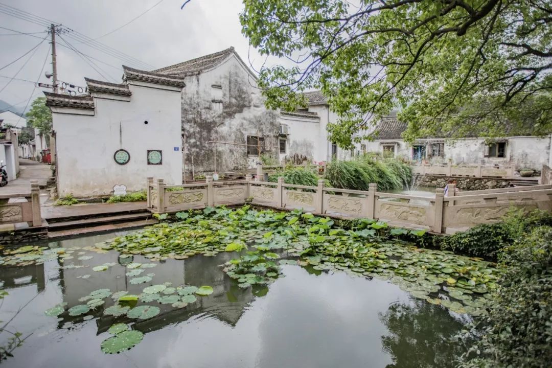 这座跟着周杰伦空降热搜的杨梅味小城,休渔期也能让你吃得满嘴鲜