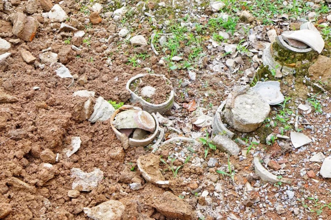 这座跟着周杰伦空降热搜的杨梅味小城,休渔期也能让你吃得满嘴鲜