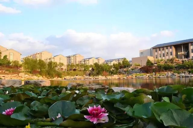 招7000人|选择山东财经大学的10个理由