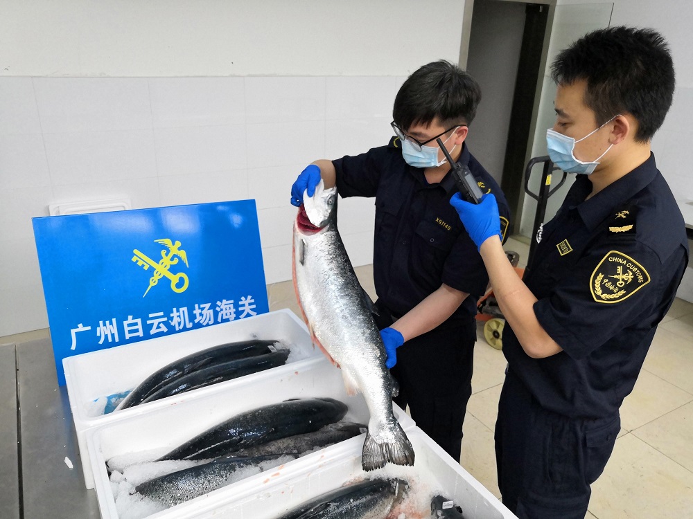 进口食品合规大全,进口健康食品清关流程