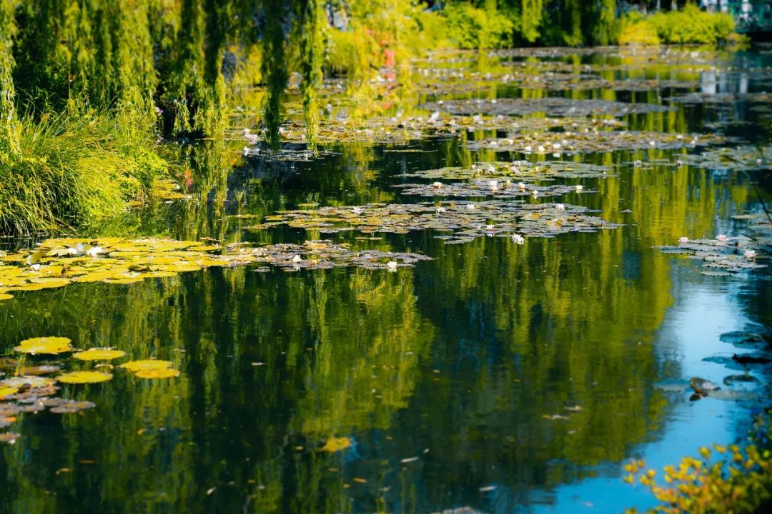 六月怎么穿搭,六月旅行搭配什么衣服