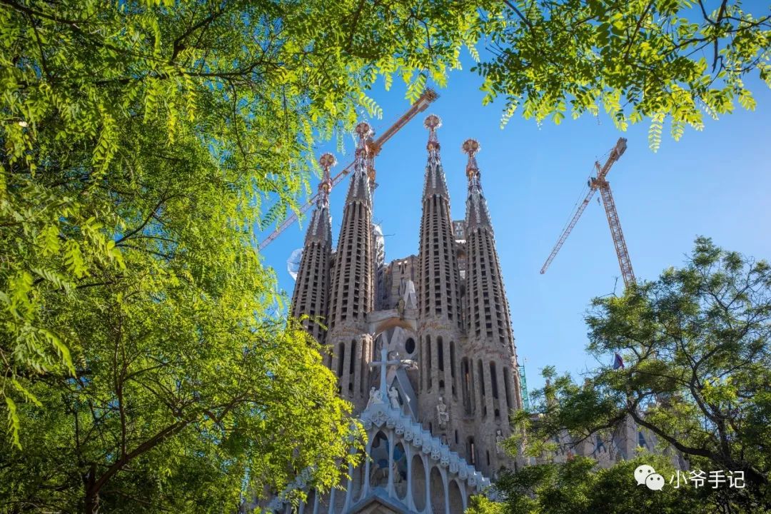 扫街神器？理光GRIII简单上手玩