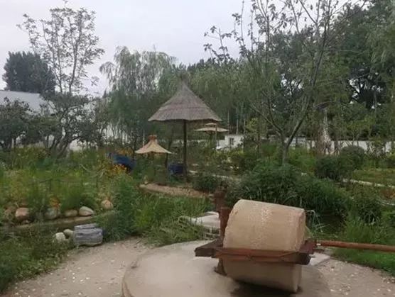 海洋夏令营,2017北戴河夏令营