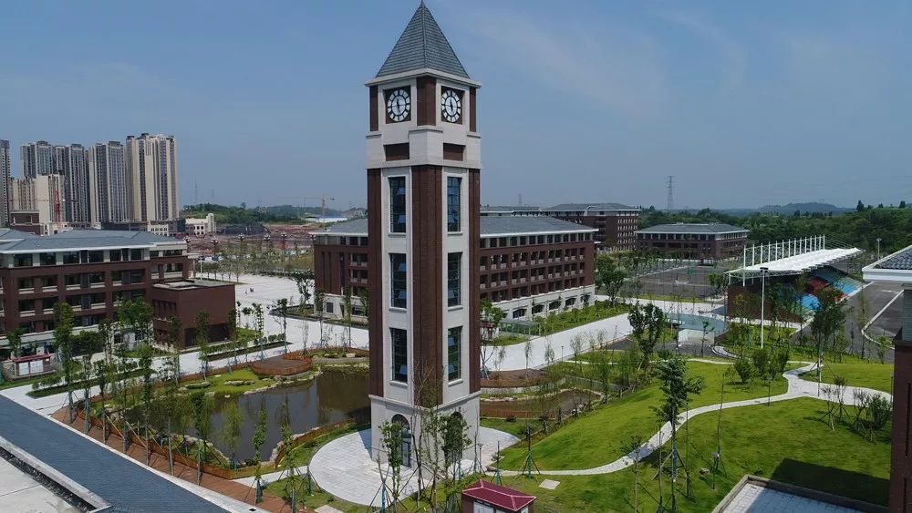 内江六中唐昭强人大代表,内江六中校长唐昭强图片