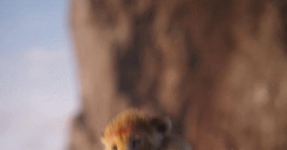 现实版狮子王比想象的更残酷,狮子王真狮版狮王之死