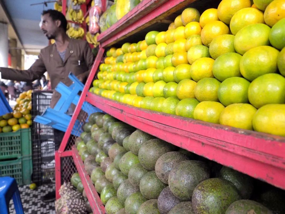 为什么说牛油果是骗局呢,牛油果被忽悠了