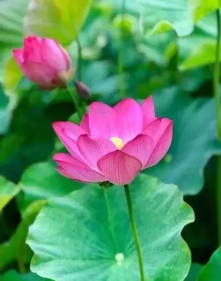 贵阳夏天气温最高多少,贵阳夏天最高气温是多少度