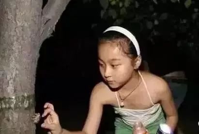 淮阳抓爬蚱,河南的爬蚱壳多少钱一斤