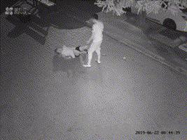 大连暴打女子事件后续,大连深夜暴打女子处理结果