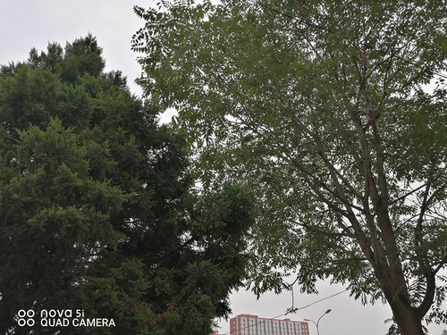 华为nova5i换屏教程,华为nova5ipro