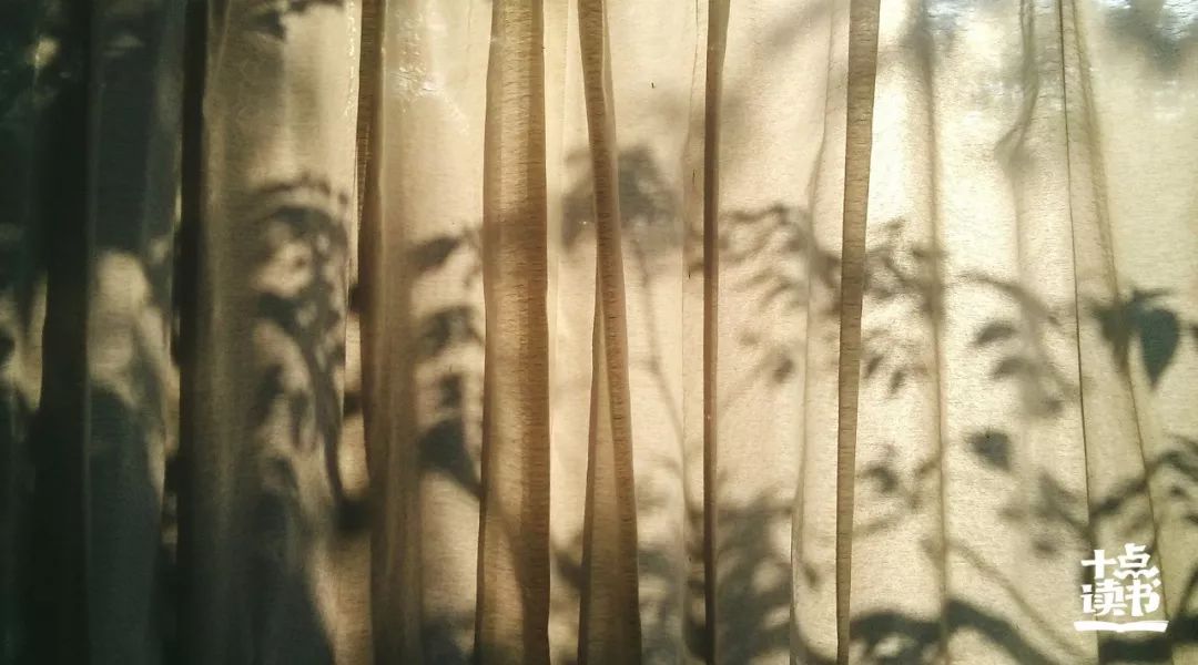 走得太近是场灾难的感悟,走得太近是场灾难深度好文