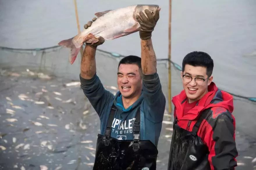 来武汉读书第一年,来武汉上大学的理由