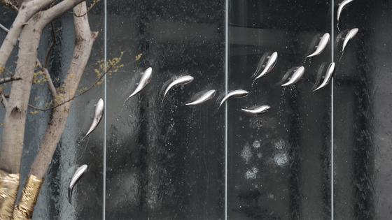 两块钱的水泥做出50元的效果,水泥全是绿色可以做什么