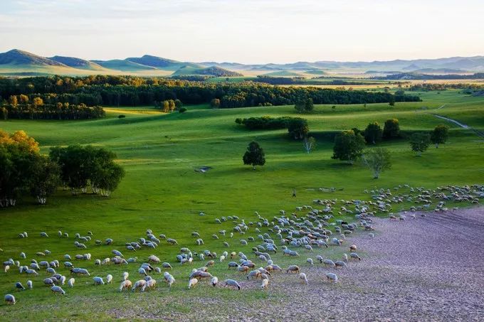 10月29号机票天津飞哪里便宜,天津出发十一月的特价机票