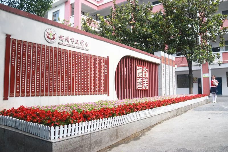 郴州最美校服,衡阳小学最美校服