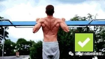 健身引体向上练背,健身练背有必要做引体向上吗
