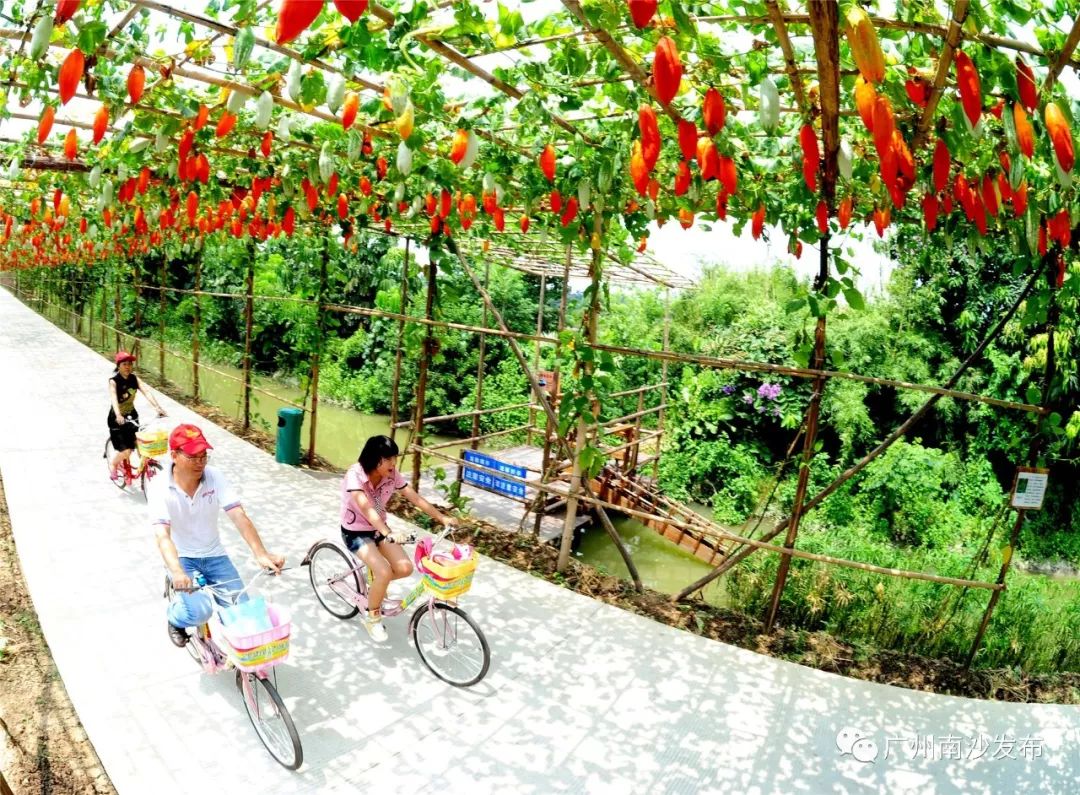 涓ぇ鍗氬＋鍏婚奔,涓ぇ鍗氬＋