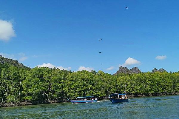 马来西亚怎样办理优才签证,马来西亚pvp签证需要办理多久