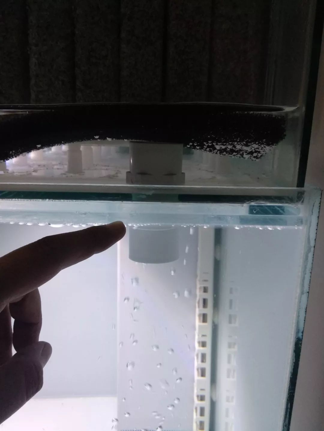 大神「鱼勇」DIY一缸多用“直播”教程，好缸无需再等