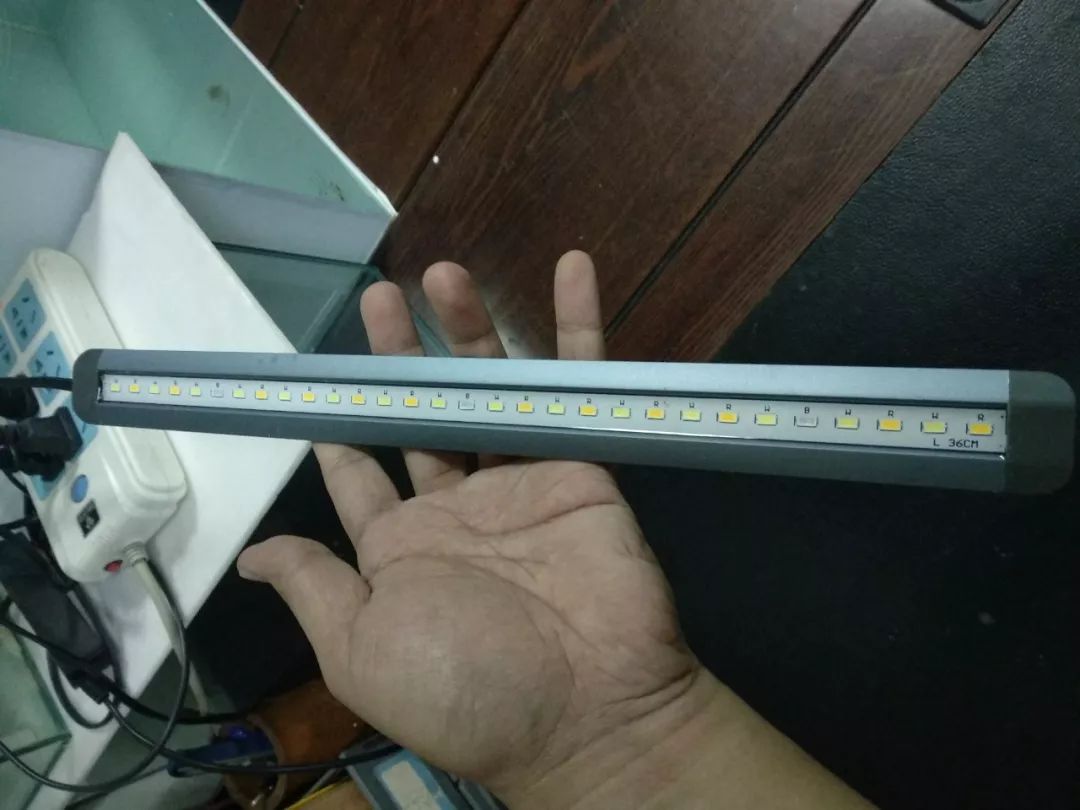 大神「鱼勇」DIY一缸多用“直播”教程，好缸无需再等