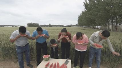 夏邑县美丽乡村介绍,美丽乡村之全景地图夏邑