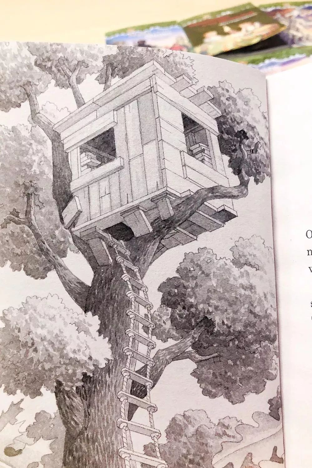 树屋英文原版书单推荐,英文童书神秘树屋