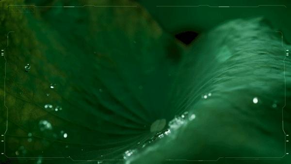 这双运动鞋竟然防水！暴雨大雪都不湿，还巨暖和