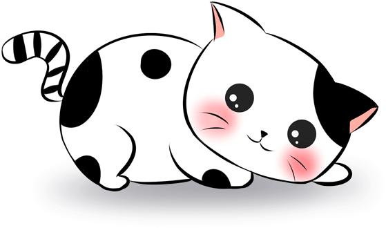 惹蜘蛛,惹了蜘蛛蜘蛛会记仇吗