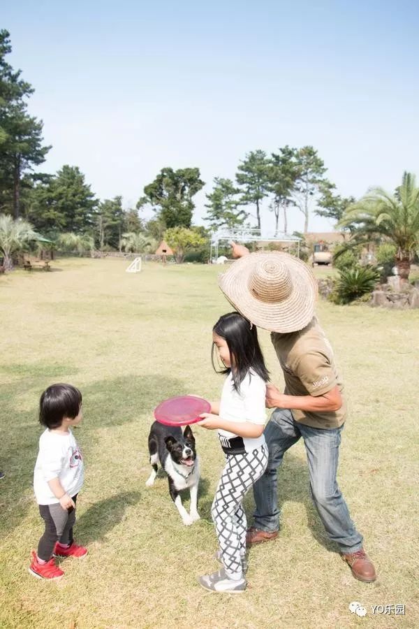 住帐篷一起看星星,住蒙古包看星星的地方