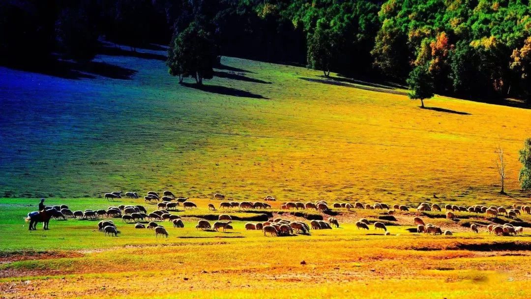 邳州广电直播间,邳州广电直播