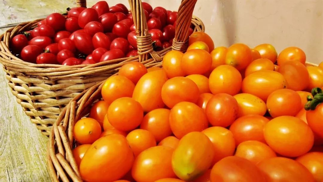 台儿庄祥和庄园五一期间是否开放,祥和庄园夜场