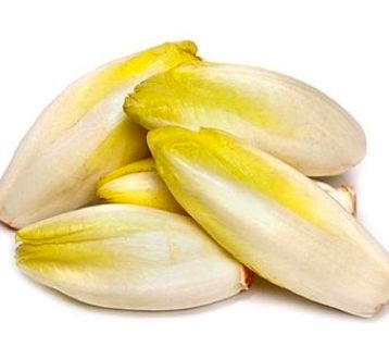 世园会·百蔬园丨百种时令蔬菜—菊苣（二十九）