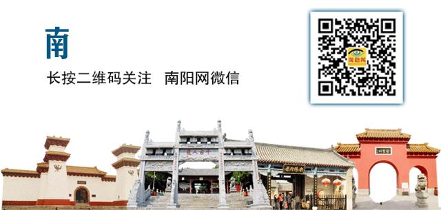南阳一高2021一本上线多少人,河南南阳20年一本分数线多少