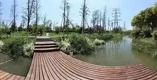 七月寻凉首选地！离上海车程仅1.5h，藏着座解暑小城！赏花赏水更赏情，藏着让人静下来的神奇魔力