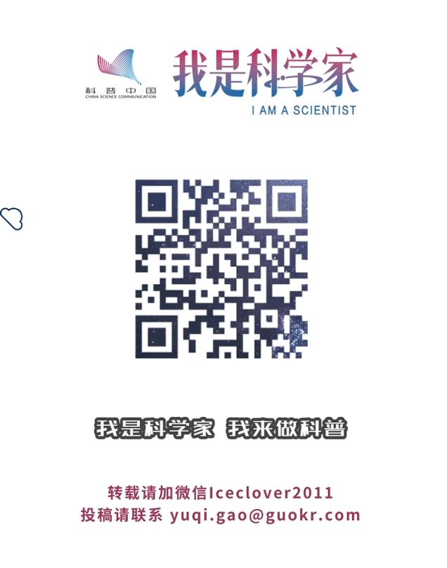 中国发现迅猛龙新种，“迅猛龙”与“伶盗龙”从此彻底分家了？