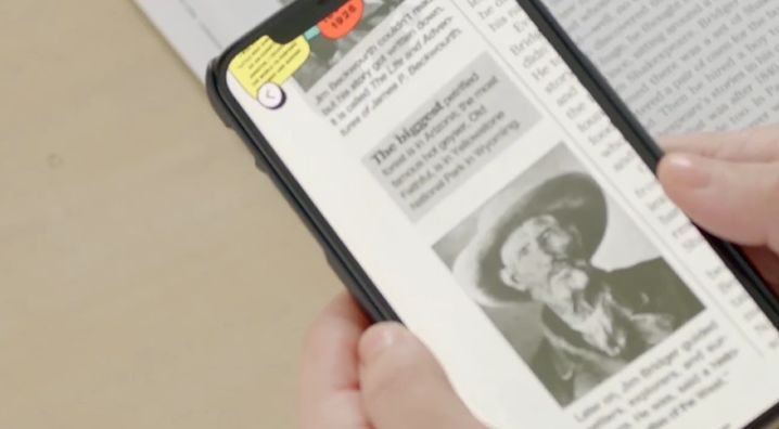 戛纳国际创意节户外奖,戛纳国际电影节新闻