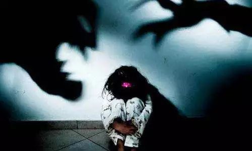 新城控股董事长猥亵罪庭审,新城控股女童案情