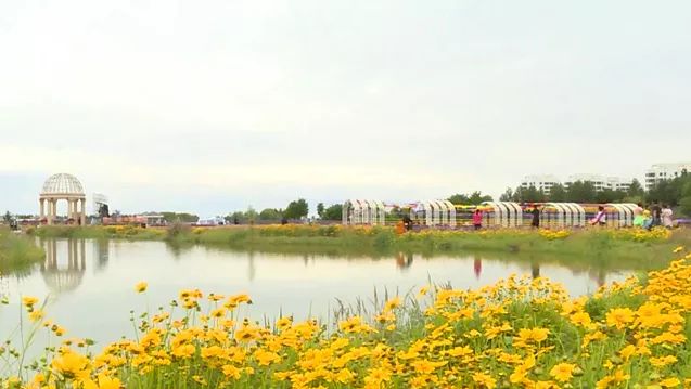 紫金苑风光无限,紫金苑景区花海